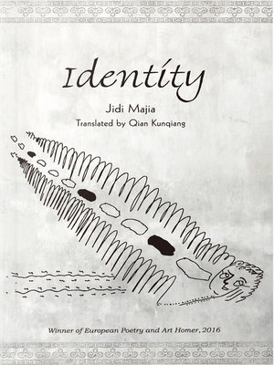cover image of Identity 身份